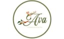 ava (1)